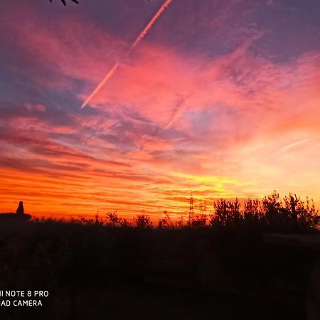 Le Zampolle B & B Colà Kültér fotó