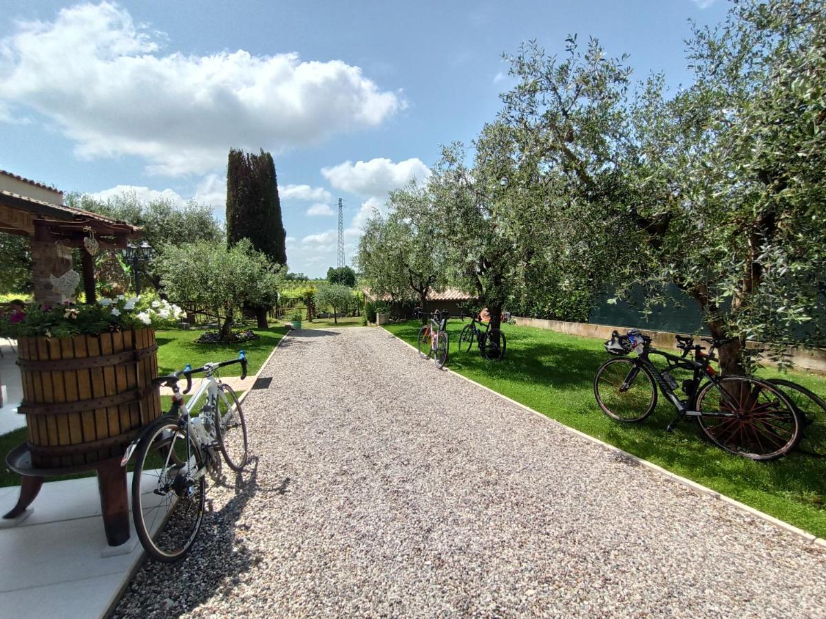 Le Zampolle B & B Colà Kültér fotó