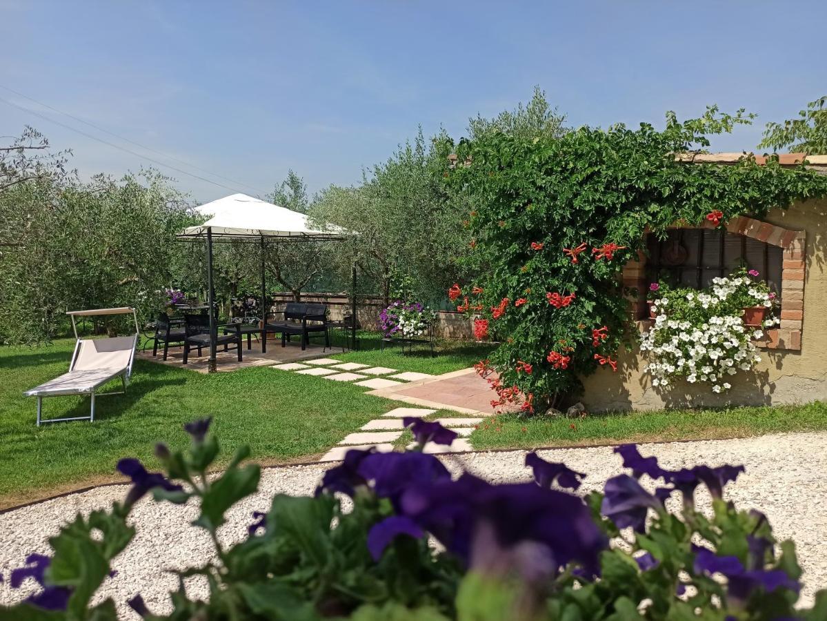 Le Zampolle B & B Colà Kültér fotó
